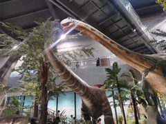 -湖南省地质博物馆