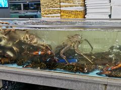水产区-塔湾北行农贸市场