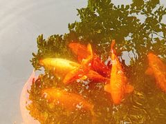 -浙江省博物馆(孤山馆区)