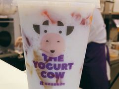 -一只酸奶牛(八一路店)