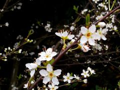 -贵阳市花溪国家城市湿地公园