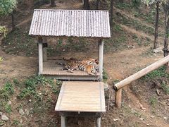 -石家庄市动物园