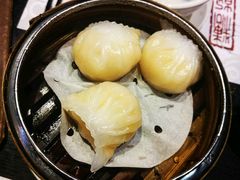 -糖朝(尖沙咀店)