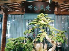 -渝乡辣婆婆·川菜 水煮鱼(中山西路店)