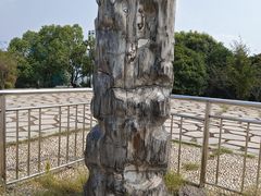 -南京市江宁方山