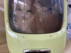 -宠颐生中康贝怡动物医院