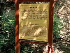 -老象峰