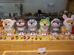 -柴务处·柴犬主题狗咖