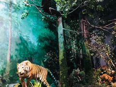 -武汉园博园(武汉自然博物馆)