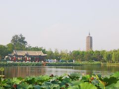 -西海子公园