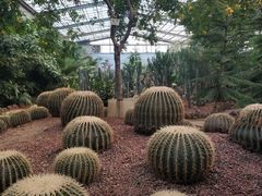 -呀路古热带植物园