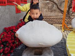 -爱新觉罗皇家博物院