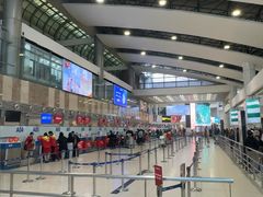 -河内内排国际机场