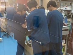 -东日国际动物医院·CT·心脏专科(桃源分院)