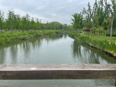 -溱湖国家湿地公园