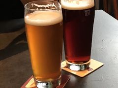 -Boxing Cat Brewery拳击猫精酿啤酒馆(永福店)