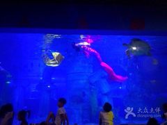 石家庄动物园海洋馆-石家庄极地海洋世界