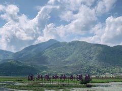 -腾冲北海湿地