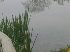 -成都中医药大学(温江校区)