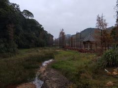 -广州市石门国家森林公园