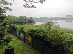 -立新湖公园