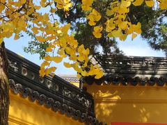 -灵岩山风景区