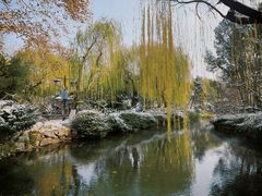 -趵突泉景区