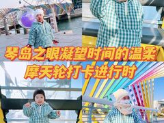 -琴岛之星摩天轮