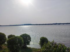 -丁香湖公园