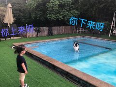 -汪说喵讲宠物乐园宠物酒店(红星美凯龙店)