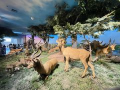 -国家自然博物馆