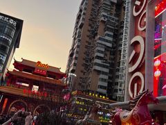 -越秀西湖花市(广州城市广场花卉店)