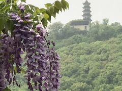 -苏州上方山国家森林公园