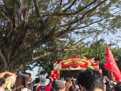-大湾区中央湿地公园
