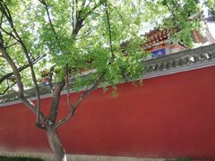 -大雁塔北广场音乐喷泉