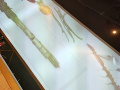 -听说碳烧蛙(高新万达店)