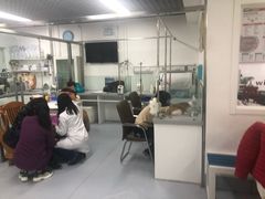 -达爱动物医院·犬猫分区·CT·复杂眼科(远洋山水分院)