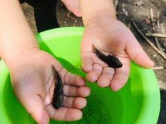 -碓臼峪自然风景区
