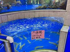 -骏丰酒楼(黄编店)
