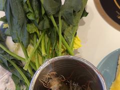 -汉阳廷自助烤肉·火锅(万丰海岸城店)