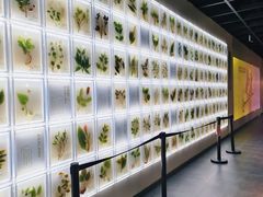 -广东中医药博物馆