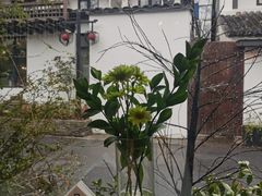 -春暖花开(西溪店)
