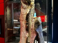 -墨尔本博物馆(Melbourne Museum)