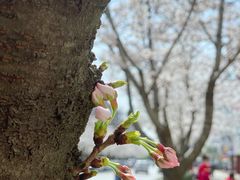 -永乐路-路侧停车场
