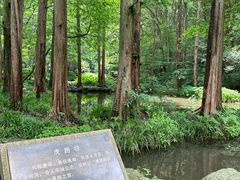 -虎跑公园
