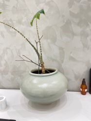 -Meng Lang 梦郎白金店