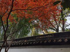 -秋霞圃