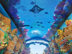 -珠海长隆海洋王国