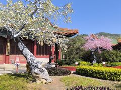 -珠海圆明新园