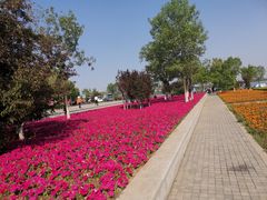 -武清南湖绿博园